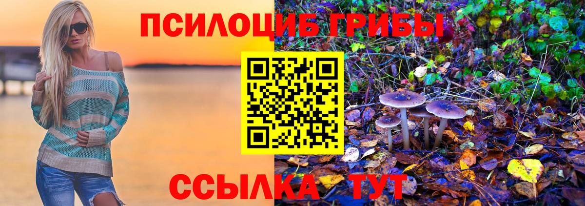 Ковров  Псилоцибиновые грибы Magic Shrooms  Вход с VPN 